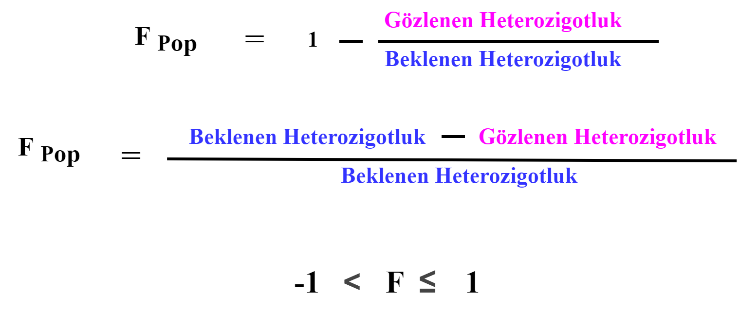 F Kendileşme Katsayısı