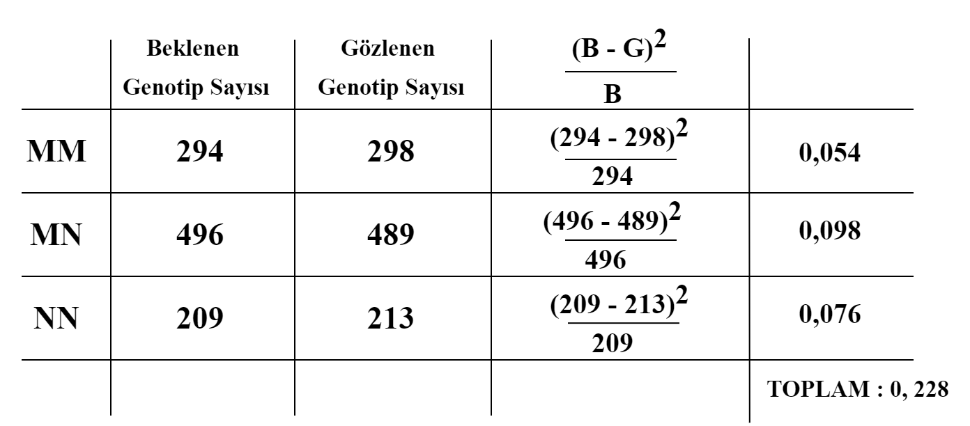 Beklenen Genotip Frekansları ve Sayıları