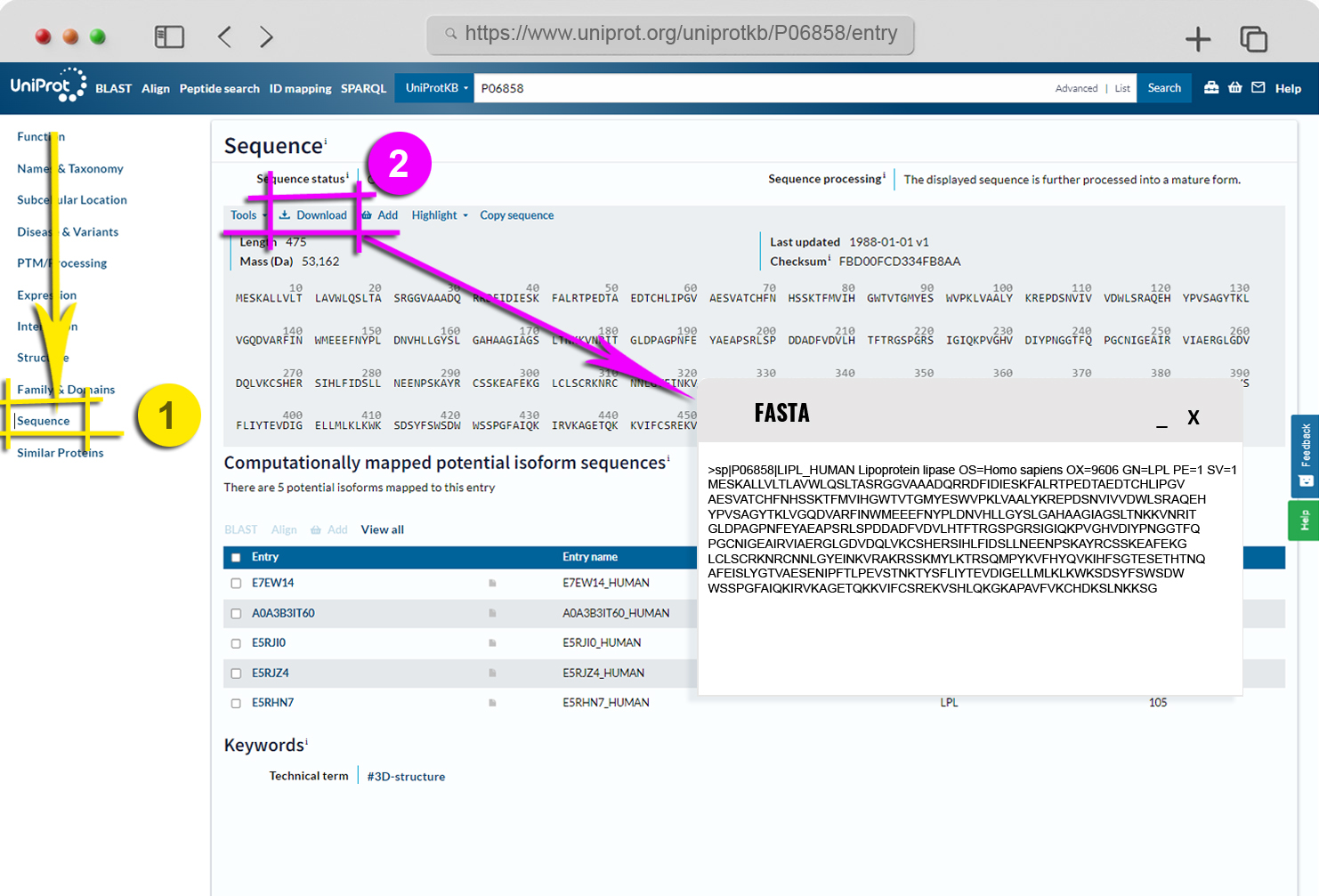 uniprot protein sekansı arama